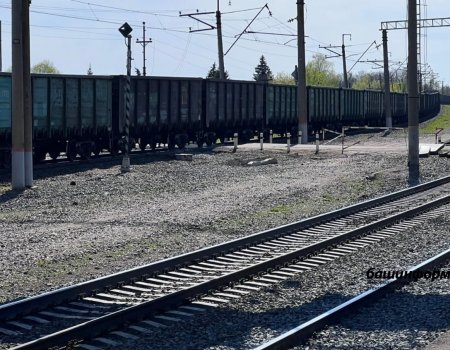 В Башкирии пенсионера сбил насмерть поезд