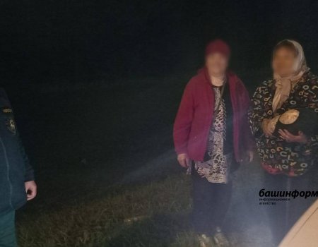 В Башкирии спасатели до полуночи искали ушедших за грибами двух женщин