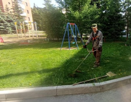 На уход за газонами на проспекте Салавата Юлаева в Уфе потратят 47 миллионов рублей