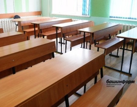 В Башкортостане из-за болезни детей в 18 классах ввели дистанционное обучение