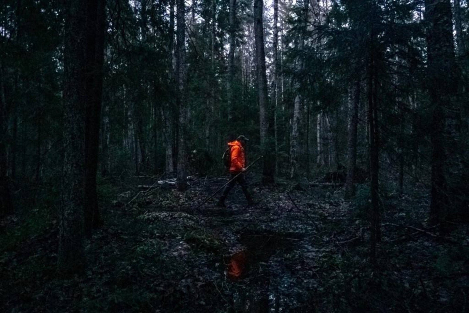 спасение охотника который потерялся в лесу гта 5 (120) фото