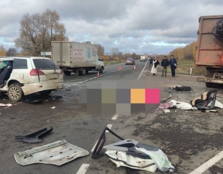 В Башкортостане в ДТП с грузовиком погибла пассажирка Nissan Elgrand