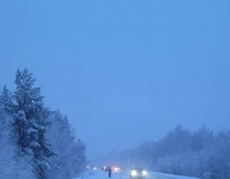 В Башкирии из-за снегопада на некоторых участках дорог возникли затруднения