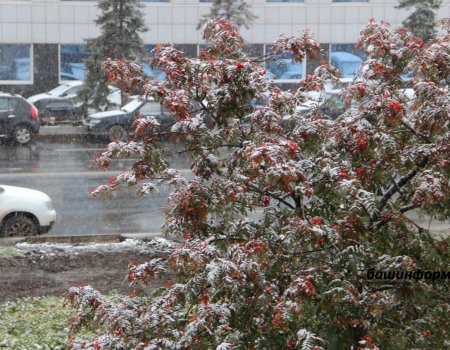 В начале недели в Башкирии ожидается холодная погода с мокрым снегом
