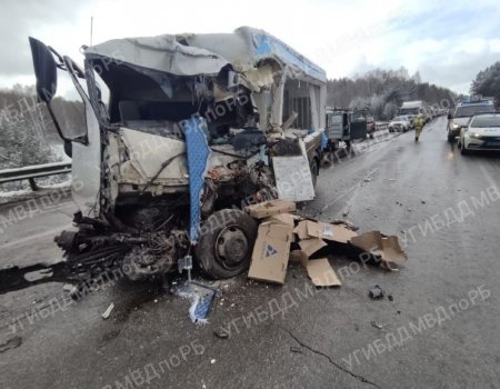 На трассе М-5 в Башкирии погиб уроженец Челябинской области