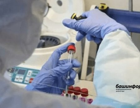 В Башкирии за сутки коронавирусом заболели 93 человека