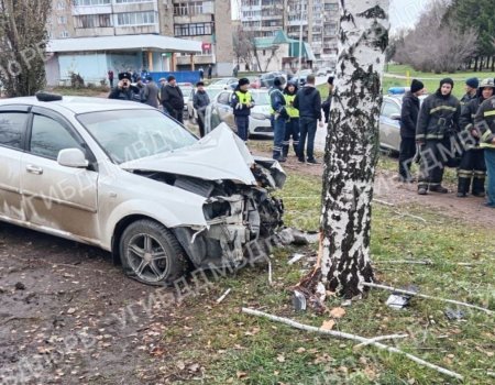 В Башкирии иномарка врезалась в дерево: водитель погиб