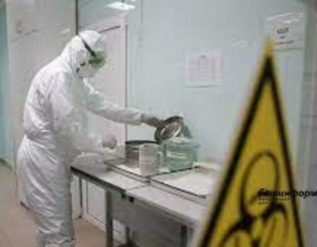 В России начал распространяться новый штамм коронавируса «Пирола»