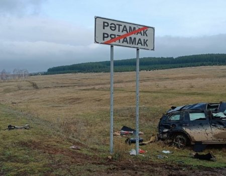 В Башкирии в ДТП погиб водитель «Мерседеса»