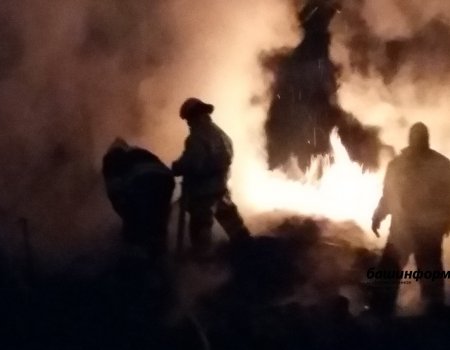 В Башкортостане с начала года на пожарах погибли 214 человек