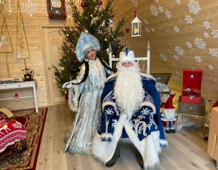 Аналитики подсчитали средний чек за услугу приглашения на дом Деда Мороза и Снегурочки в Уфе