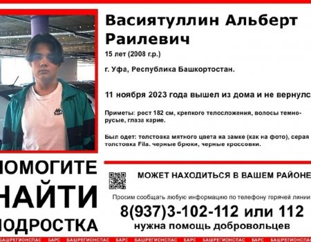 В Башкортостане ищут пропавшего без вести 15-летнего Альберта Васиятуллина