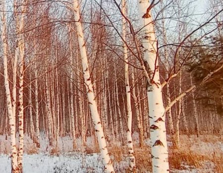 В Башкортостане похолодает до -13 градусов