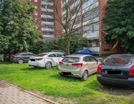 Парковка на газонах стала самым частым нарушением в Башкирии