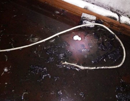 В Башкирии беспроводные наушники стали причиной пожара в доме многодетной семьи