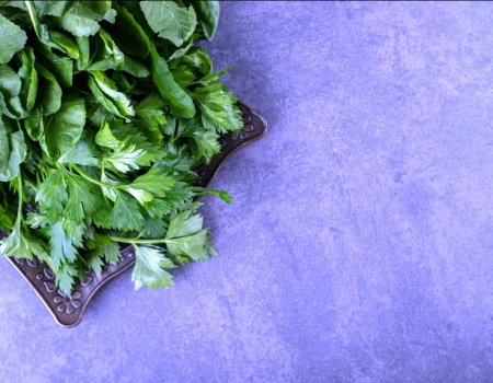 Кресс-салат: новый лидер в списке самых полезных продуктов для здоровья
