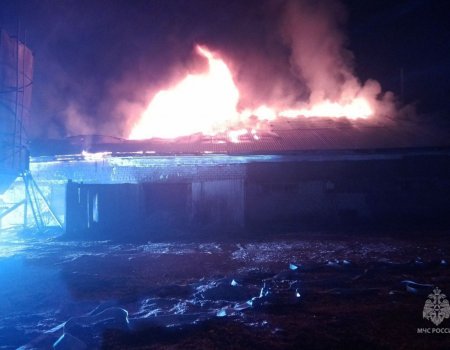 В Башкирии пожарные вытащили из горящего здания у ИК-8 пять газовых баллонов