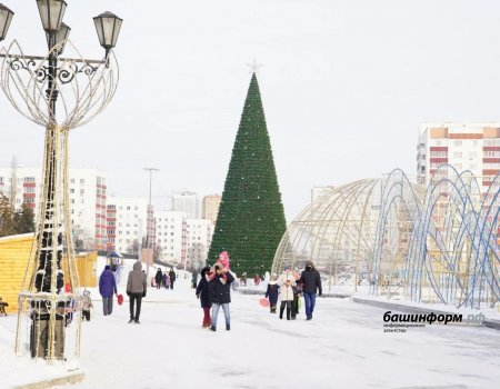 Стала известна дата республиканской новогодней елки в Башкирии