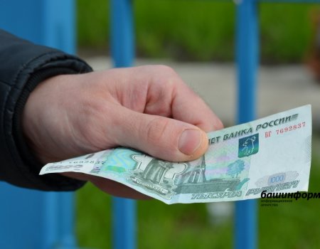 Крупные, мелкие и средние: кто в Башкирии чаще всего дает и берет взятки