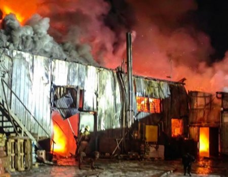 В Башкирии произошёл пожар в рыбном цеху