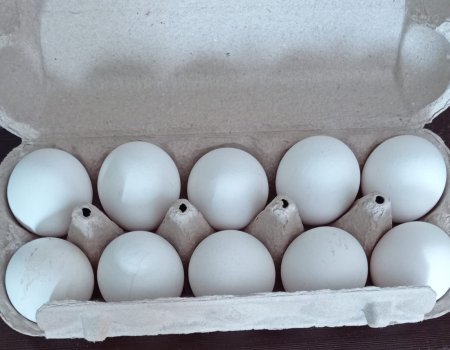В минторге Башкирии назвали причины повышения цен на яйца