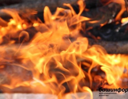 В Башкирии на пепелище пожара нашли тела двух человек