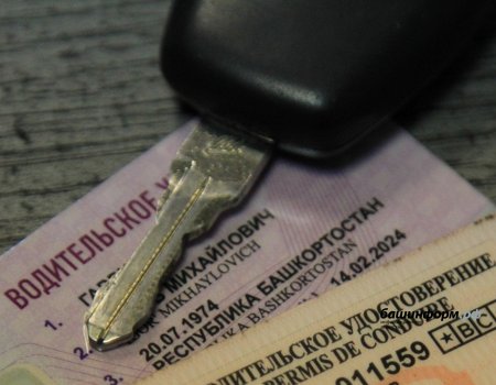 В Башкирии водитель ездил с поддельным удостоверением жительницы Воронежа