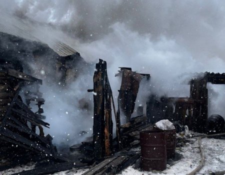 В Башкирии при пожаре в доме женщина получила ожоги лица и кистей рук