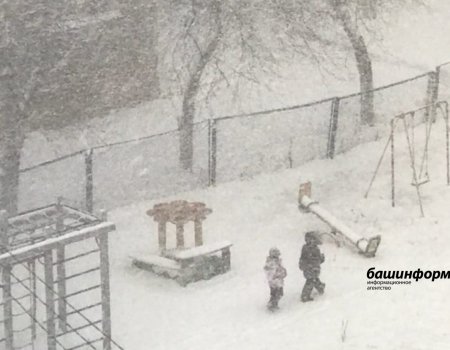 В Башкирию возвращаются снегопады