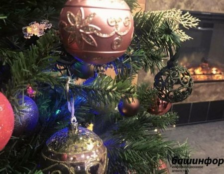 Новогодние каникулы для жителей Башкирии продлятся с 30 декабря по 8 января