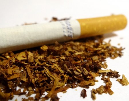 В Башкирии могут увеличить штрафы за курение в школах