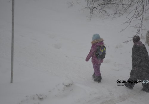 МЧС по Башкирии предупреждает о сильном ветре, метели и снежных заносах