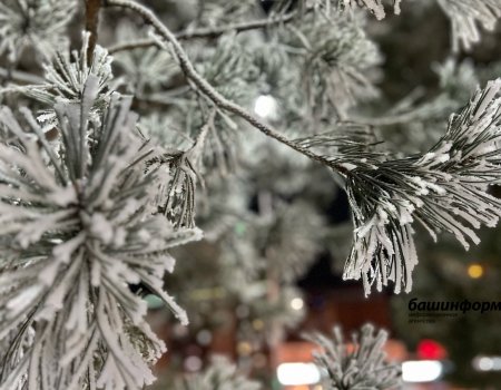 В Башкирии в новогоднюю ночь будет холодно и снежно