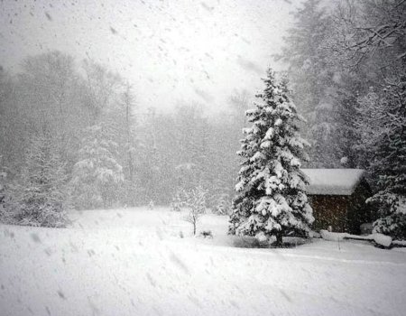 В Башкирии снегопад продолжится 1 января