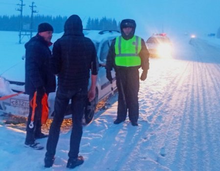 Сотрудники ГИБДД Башкирии помогли замерзающим водителю и женщине с тремя детьми
