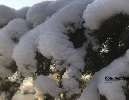 На смену морозам в Башкирию придут снег и метели