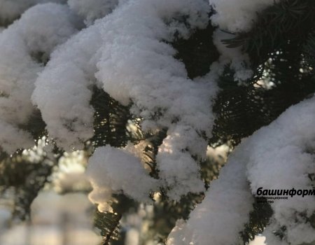Морозы в Башкирии сменятся сильными снегопадами
