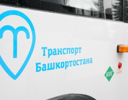 В Башкирии прекратили работу несколько пригородных автобусов