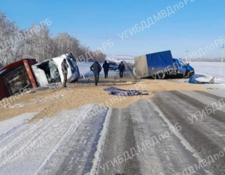 В Башкирии столкнулись встречные фургоны ГАЗ, один из водителей погиб