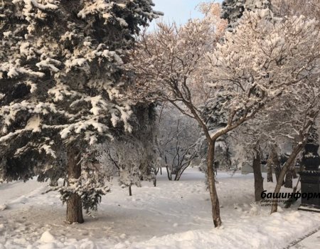 В Башкирии прогнозируется умеренно морозная погода и небольшой снег