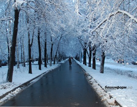 В ближайшие сутки в Башкирии ожидается легкий мороз и небольшой снег