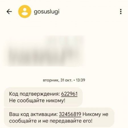 Жителей Башкирии предупреждают о мошенничестве через Госуслуги