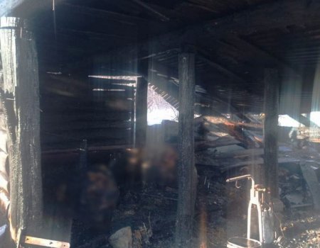 В Башкирии при пожаре в сарае сгорели заживо две коровы, пять телят и 200 кур