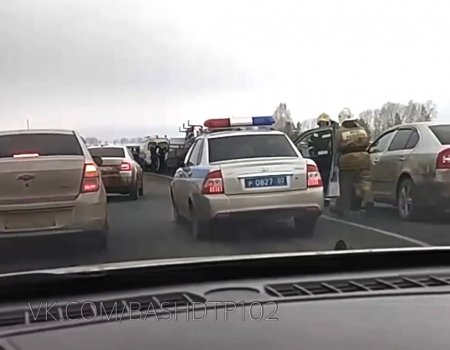 В Кармаскалинском районе Башкирии водитель насмерть сбил двух человек - ВИДЕО