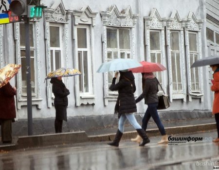 На этой неделе в Башкирии пройдут первые весенние дожди