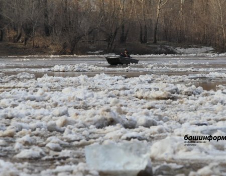 В Башкирии до 10 апреля ожидается вскрытие рек - прогноз