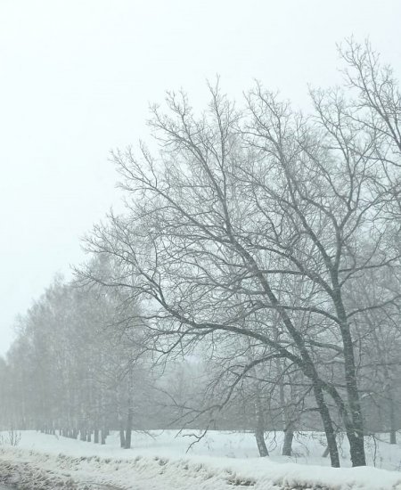 В Башкирии на выходных будет снежно и холодно
