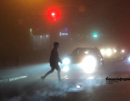 МЧС по Башкирии предупреждает о сильном тумане