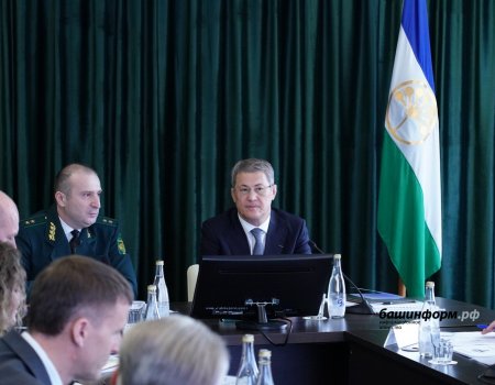 Глава Башкирии назвал четыре ключевых направления в сфере охраны природы региона