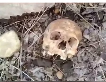 В Салаватском районе Башкирии нашли человеческие останки